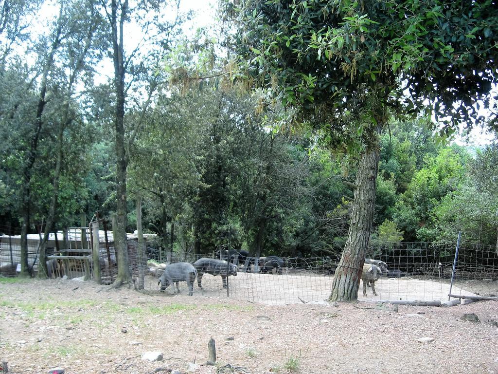 Tenuta La Bandita Сассетта Екстер'єр фото